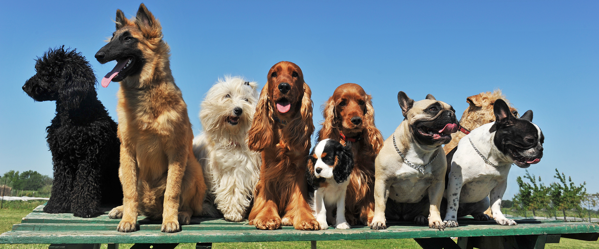 slider image slider_item_Je6mYE